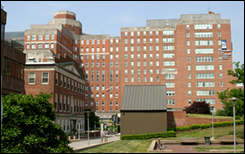 ummc